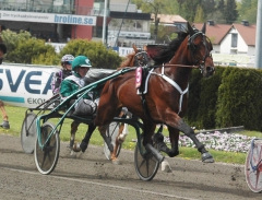 Toreador 150522-4